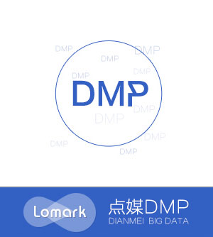 点媒DMP